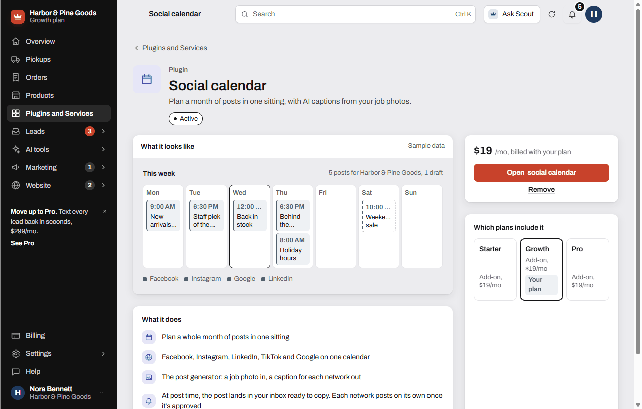 An active plugin's page with its price, the open button, the Remove link and which plans include it