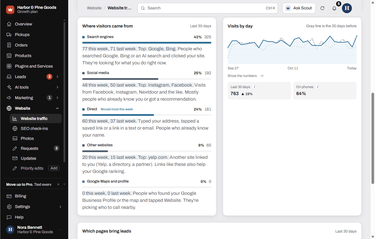 Where visitors came from, visits by day and the pages that bring leads